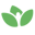 Blooming Families icon